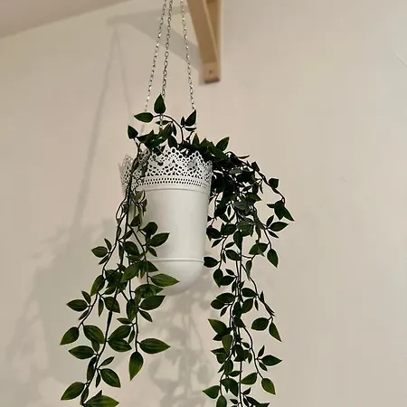 Le Clos Chassaing N3 - Wifi - Centre Ville-property Nm Appartement Périgueux